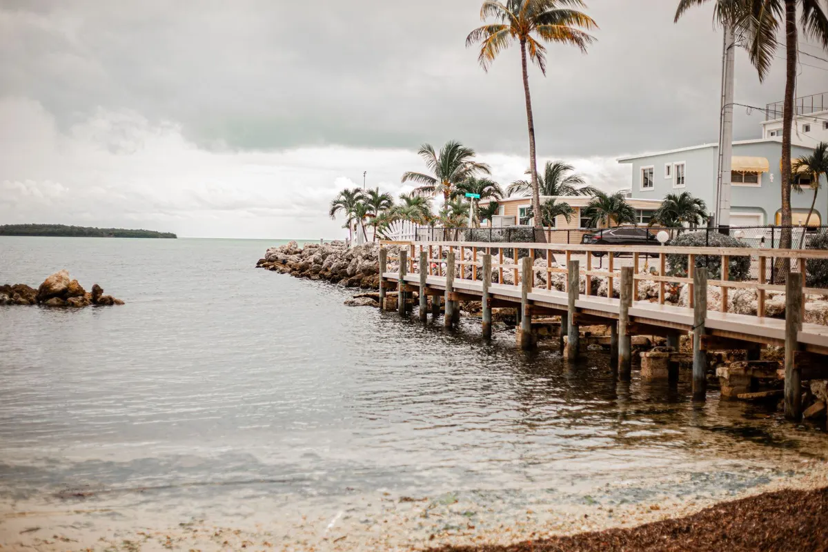 Waterfront boardwalk and palm trees on a calm Florida bay